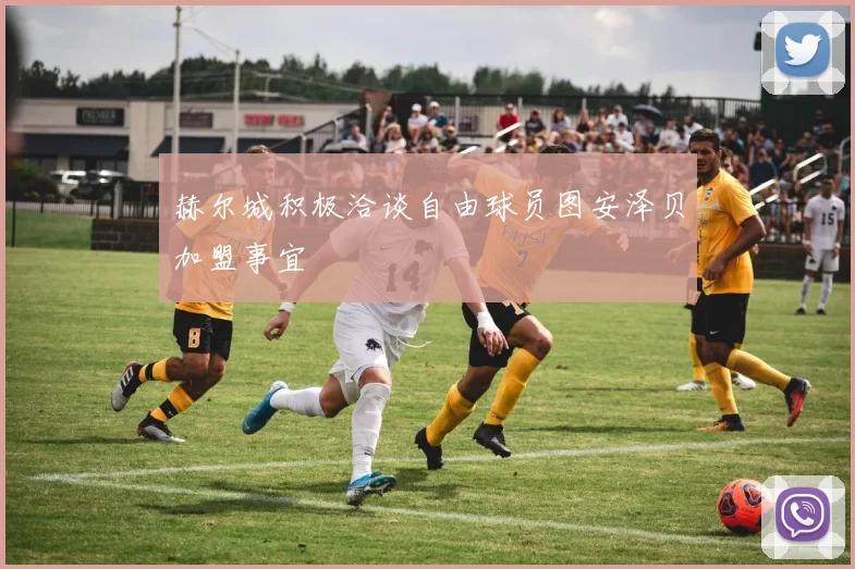 赫尔城积极洽谈自由球员图安泽贝加盟事宜